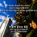 PICTURE&TEXT_20211031_로마서 1장 17절_'마음에 끌리는 복음'_'금목서' 꽃말 '당신의 마음을 끌다 이미지