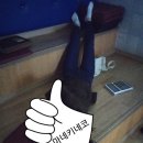 마네키네코노래연습장 이미지