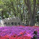 대동냉면