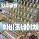 화비초네이처