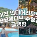 은빛코코