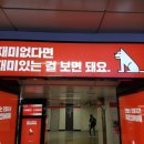 비트종합광고
