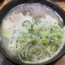 내가 우리집 가드너 이미지