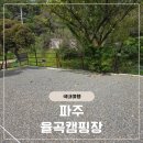 율곡자동차 | 서울 근교 가족 캠핑 파주 율곡 캠핑장 별채 사이트 내 돈 내산 후기