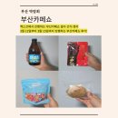 아이엠팜 | 맥주 한 병 단돈 2천원, 남아공 대표음식 블리스 육포 그리고 화이트데이 기념 아이엠캔디 등 부스 총정리