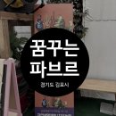 김포시 꿈꾸는파브르 봄시즌 내돈내산 후기 (방문일: 25.5.18)
