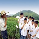 유치면 주민자치센터 이미지