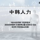 한중취업정보 Daum카페