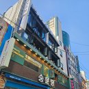 킹독 이미지