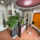 부일동물병원 이미지