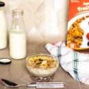 지용산인 이미지