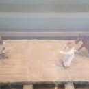 포은유물관 이미지