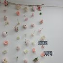 메이에르진 이미지