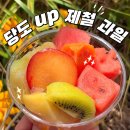 하이프룻 | 과일도시락 단체주문 어디서 할까? 반포동 하이프룻 후기