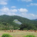 온유축산 이미지