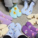 경포힐링스테이 이미지