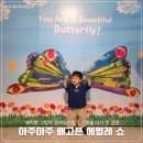 29170-1-B-17 | 17개월 아기 뮤지컬 추천 | 아주아주 배고픈 애벌레쇼 영어 공연 후기 (육아크루 이벤트)