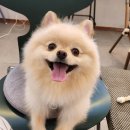 내개로와 이미지