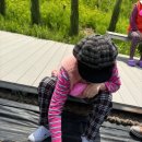 산책하는요양원 이미지