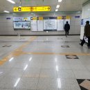 우송한의원 네이버블로그