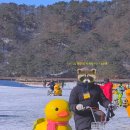 맑은동심유치원 | 포천여행 | 2026 산정호수 썰매축제, 욕쟁이 할머니집, 카페 그리네 사바나