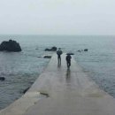 청성잡기 47. 이해에 따라 바뀌는 노비 문제