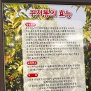 금수구지뽕삼계탕