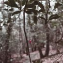 THE웃는치과의원 이미지