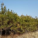 주천면무릉보건진료소 이미지