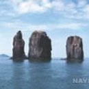 공룡민박 이미지