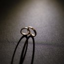 월드호텔 | 잠실롯데호텔 월드 본식스냅 촬영 후기