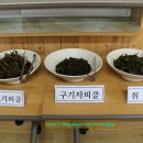 개랭이고들빼기마을 이미지