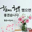 마음다짐 이미지