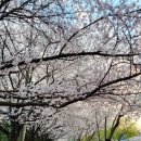 평거강변3 이미지