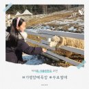지라은목장 | 겨울 아기랑 갈만한 곳 가평양떼목장 무료 썰매까지 최고