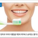 화이티 이미지