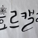 우당탕탕마켓 이미지
