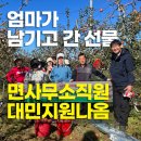 부계면사무소 이미지