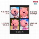 수월봉전기자전거 이미지