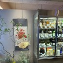 핫 무인텔 제2호 | 삼성역/코엑스 근처 제철회 맛집 &lt;동어동락 삼성 2호점&gt; 후기