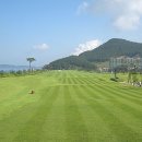 비치마차 이미지