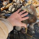 테라스의 아침펜션 이미지