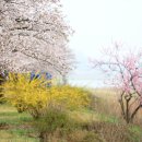 김유신장군로 이미지