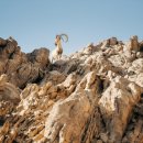 카페인시작 이미지