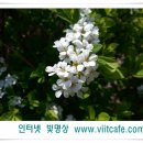 무낙