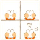 순천연향중학교 이미지