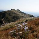 명산모바일 Daum카페