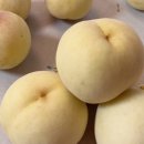 설아농장 이미지