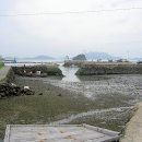 선소로 이미지