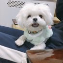 둥이아빠